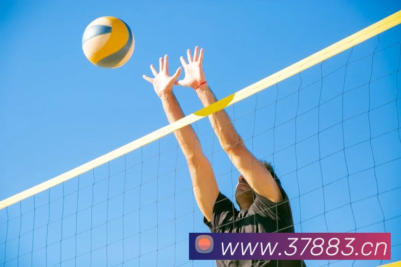 星空官方网站登录入口平台生态图