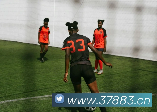 星空官方网站登录入口全站App